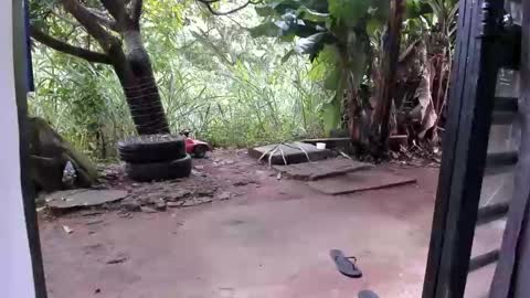 Snapshot of venusandzeus chatting on 12.16.25 venus ... zeus sheer online show from 12.16.25