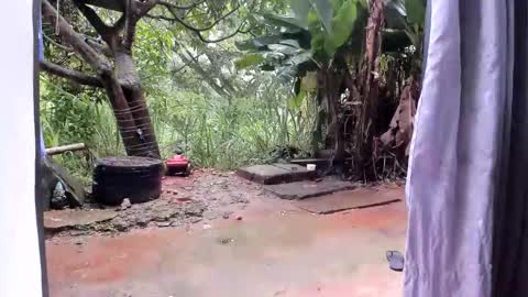 Snapshot of venusandzeus chatting on 01.13.26 venus ... zeus sheer online show from 01.13.26