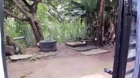 Snapshot of venusandzeus chatting on 01.19.26 venus ... zeus sheer online show from 01.19.26