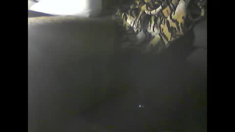 Im DanielVerdo  25 years old Lets have Fun and just ask what wanne know   tnew anal bigock cum  slave  fullnaked online show from 12.20.24