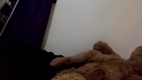 Snapshot of veryberrry chatting on 04.13.26 DarkBerryBliss online show from 04.13.26