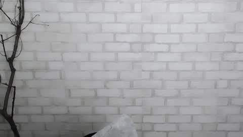 Snapshot of veryveryshygirl chatting on 12.28.24 Ana online show from 12.28.24