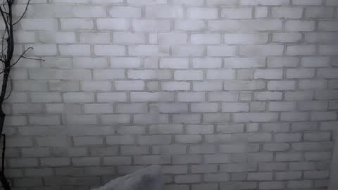 Snapshot of veryveryshygirl chatting on 12.30.24 Ana online show from 12.30.24