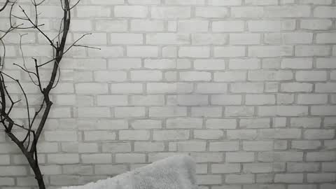 Snapshot of veryveryshygirl chatting on 01.28.25 Ana online show from 01.28.25