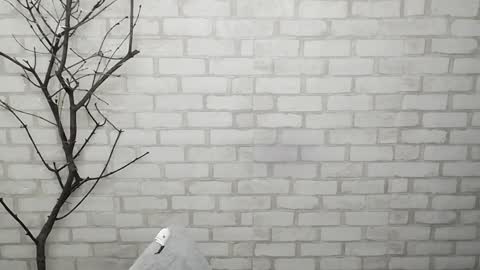 Snapshot of veryveryshygirl chatting on 02.03.25 Ana online show from 02.03.25