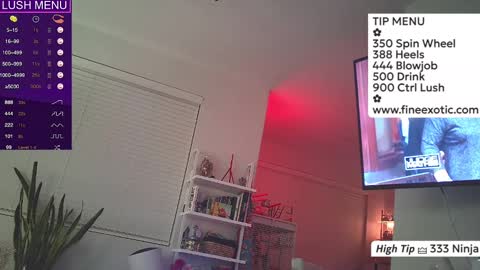 Snapshot of vesafine chatting on 01.24.25 vesafine online show from 01.24.25