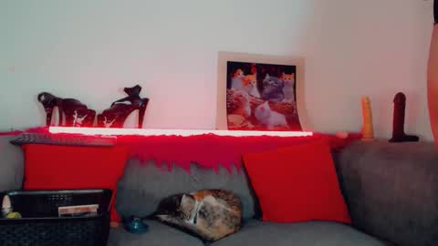 vicky_gill_ online show from 10.17.25