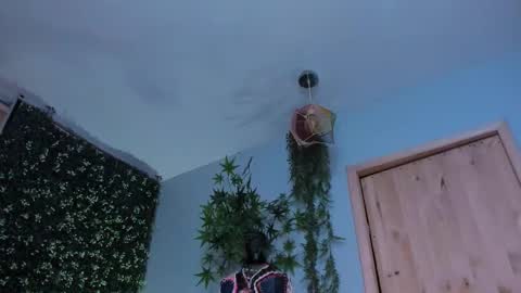 Victoria   online show from 03.25.26