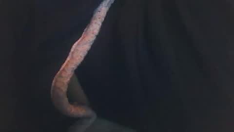 vicvictoree online show from 12.14.25