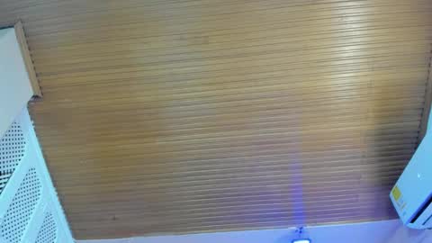 Snapshot of viiolett_lee chatting on 01.18.26 Viiolett online show from 01.18.26