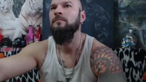 viking online show from 01.04.25