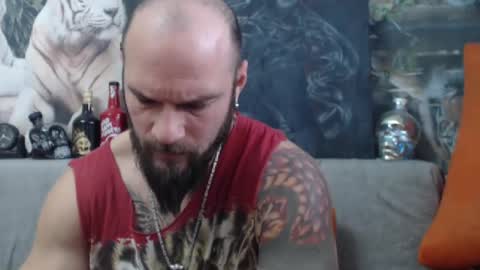 viking online show from 01.11.25