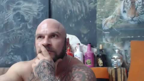 viking online show from 09.14.25