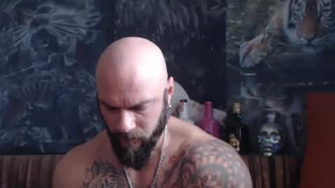 viking online show from 10.03.25