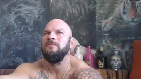 viking online show from 10.25.25