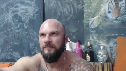 viking online show from 10.29.25