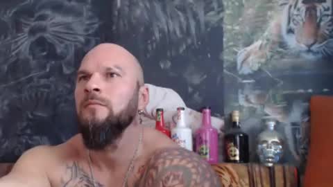 viking online show from 11.05.25