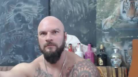 viking online show from 11.28.25