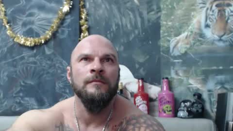 viking online show from 02.27.26