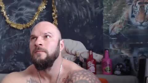 viking online show from 03.01.26