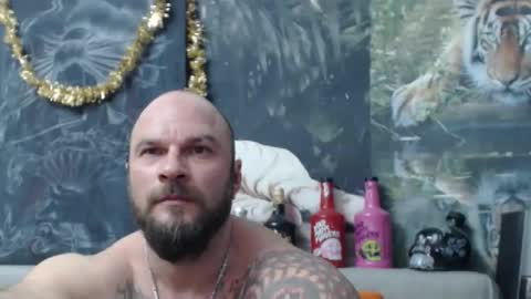 viking online show from 03.02.26