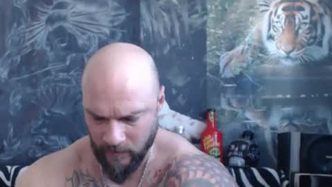 viking online show from 04.12.26