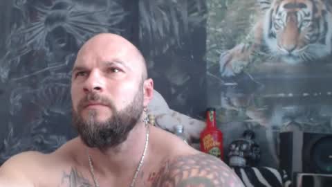 viking online show from 04.15.26