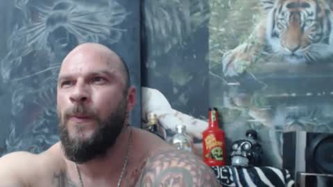 viking online show from 04.16.26