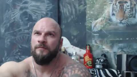 viking online show from 04.17.26