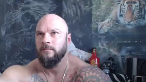 viking online show from 04.20.26