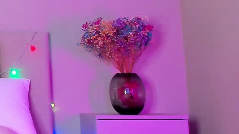 Snapshot of vikkilustfull chatting on 01.25.25 VIKKI online show from 01.25.25