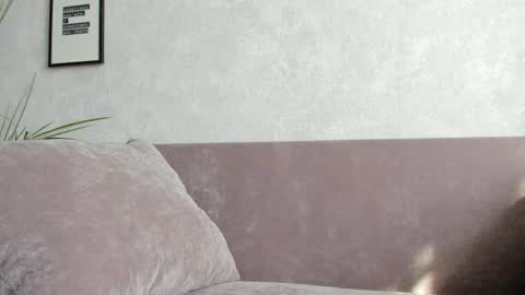 Vincent.  uncut 18cm online show from 09.10.25