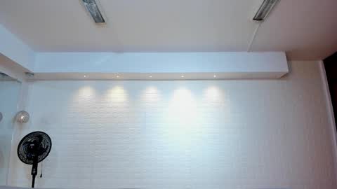 Violett  Everyday From 0530 to 1430 Col Time online show from 01.11.26