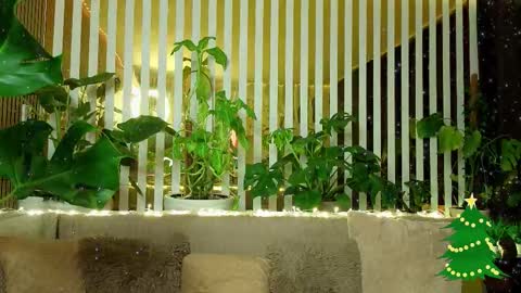 Violetta online show from 01.07.26