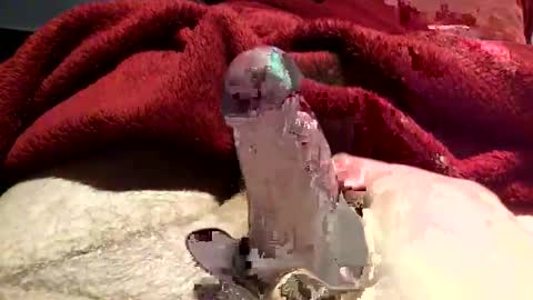 virtual_hand_player online show from 01.31.25