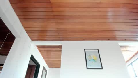 Vito Ferrer online show from 01.16.26