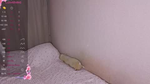 vitterrick online show from 11.25.25