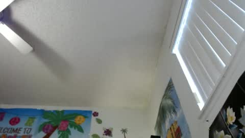 Vixen Fyre online show from 12.16.24