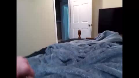 vladedivac1998 online show from 03.31.26