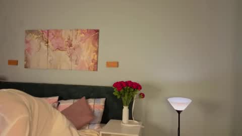 Snapshot of vonen_ray chatting on 05.27.26 Vonen online show from 05.27.26