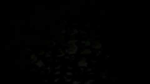 w2456 online show from 11.25.25