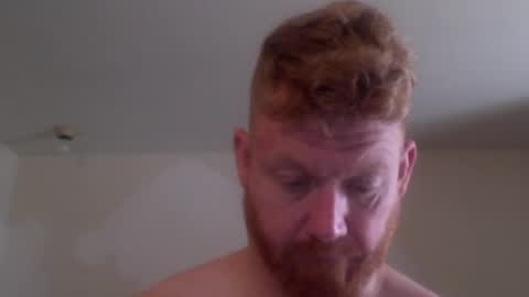 wadonis online show from 02.11.25