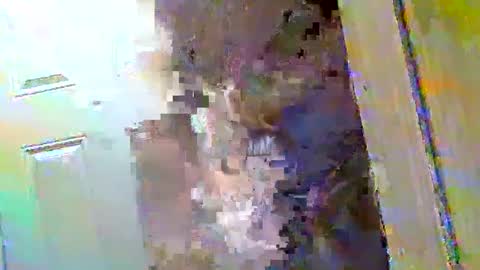 Snapshot of waltbkk chatting on 12.09.24 Walter online show from 12.09.24