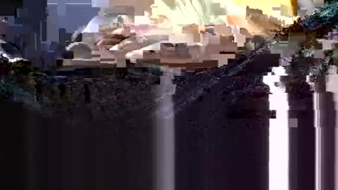 wanttowatch87 online show from 02.12.25