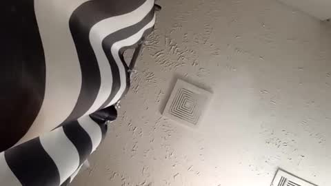 wanttowatch87 online show from 02.20.25