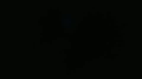 wapos__25 online show from 11.25.25