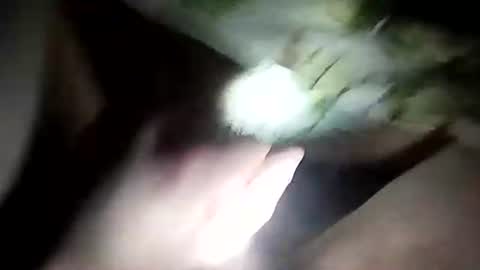 wariatos3 online show from 01.10.25