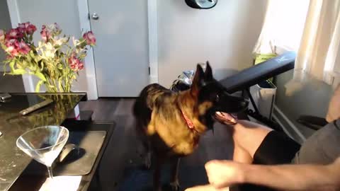 wasted_daze_ online show from 03.11.26