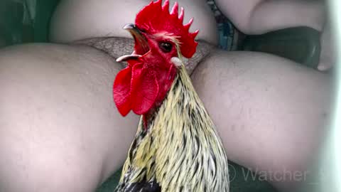 Snapshot of watcher_9 chatting on 11.09.25 classified online show from 11.09.25