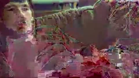 Snapshot of watchmecumforyou___ chatting on 11.21.25 watchmecumforyou___ online show from 11.21.25